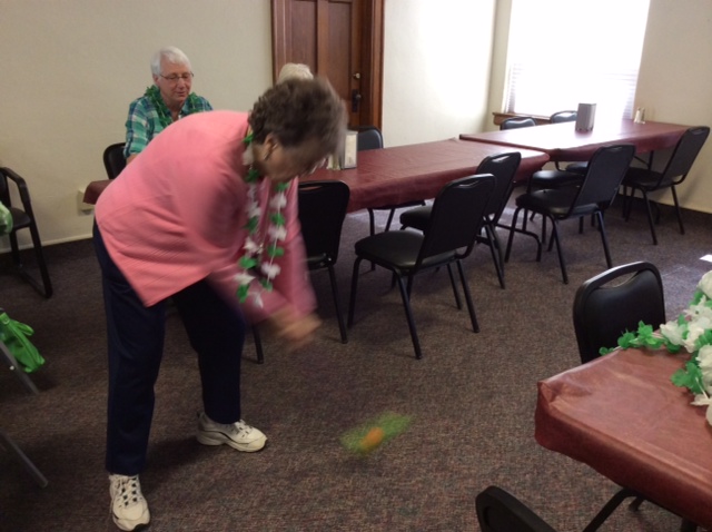 2015 photo march st paddy day game 1